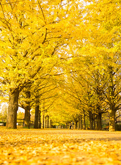 不用品回収 不用品回収