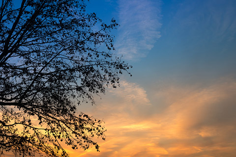 不用品回収 不用品回収