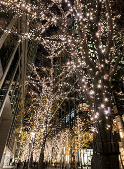 不用品回収 不用品回収