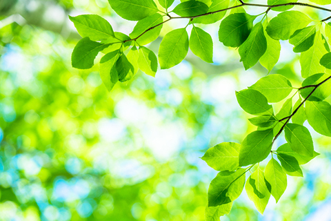 室蘭市 不用品回収 室蘭市 不用品回収