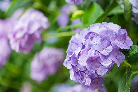 室蘭市 不用品回収 室蘭市 不用品回収