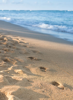 不用品回収 不用品回収