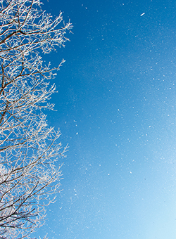 遺品整理 遺品整理