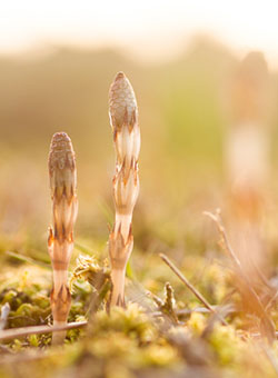 室蘭市 遺品整理 室蘭市 遺品整理