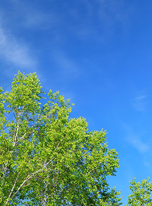 遺品整理 遺品整理