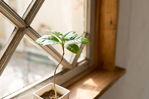 室蘭市 遺品整理 室蘭市 遺品整理
